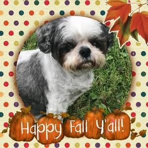 Meet your Posher, Carla